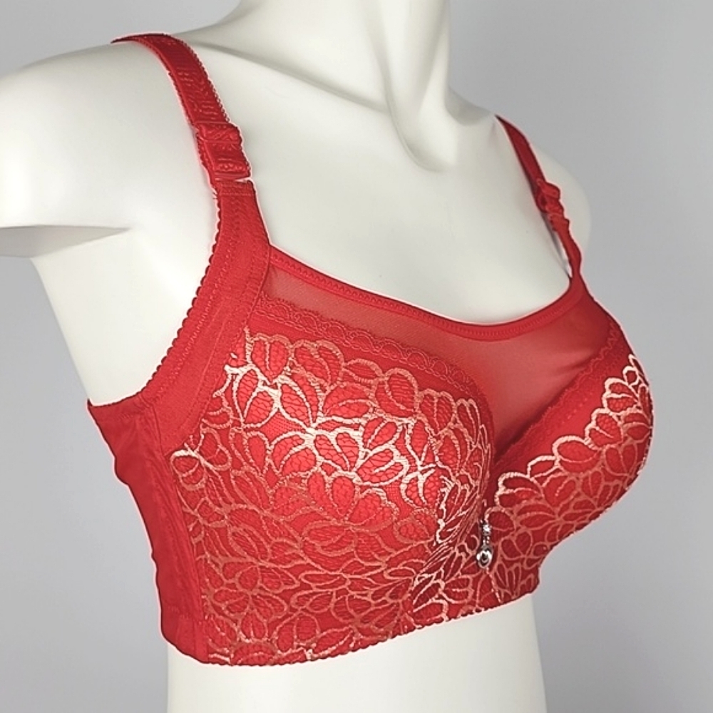 Women's Red Push Up Lace Gold Overlay Bra Intimates Lingerie Size 38